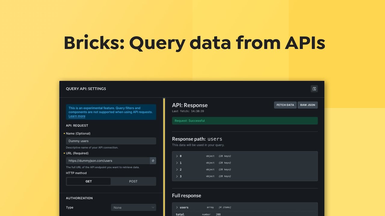Bricks - Query data from APIs
