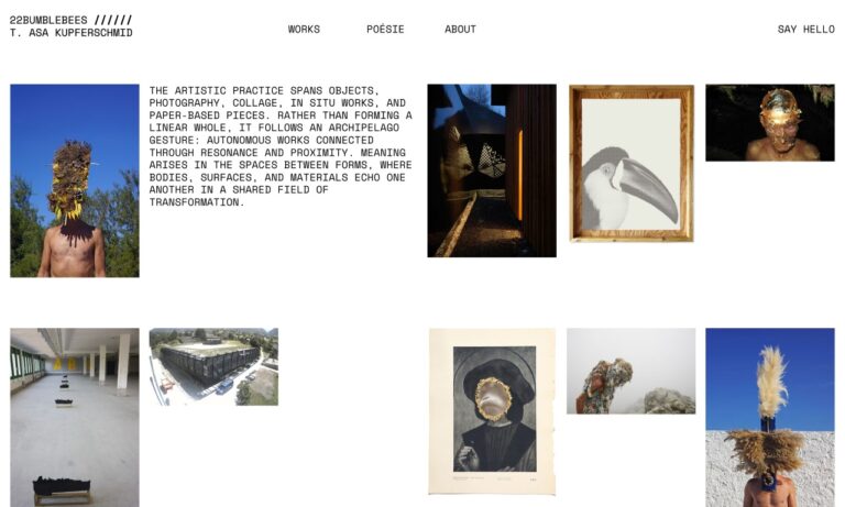 22BUMBLEBEES – T. ASA Kupferschmid Homepage Screenshot