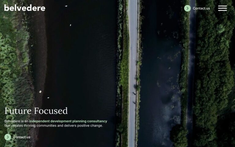 Belvedere Consulting Homepage Screenshot