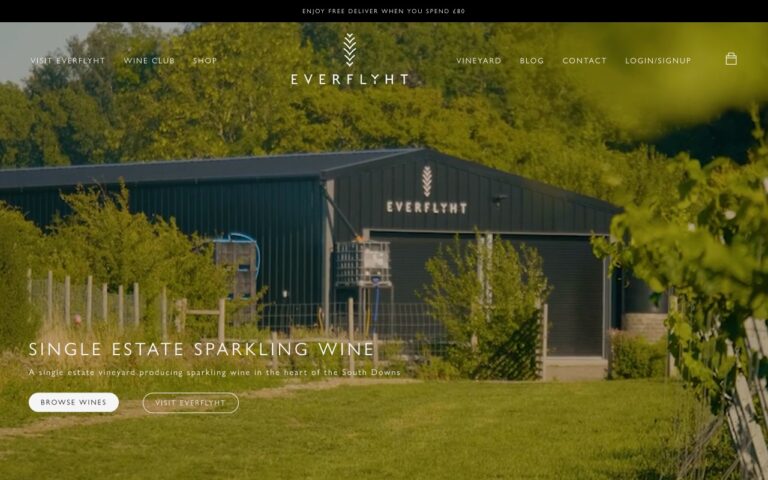 Everflyht Homepage Screenshot