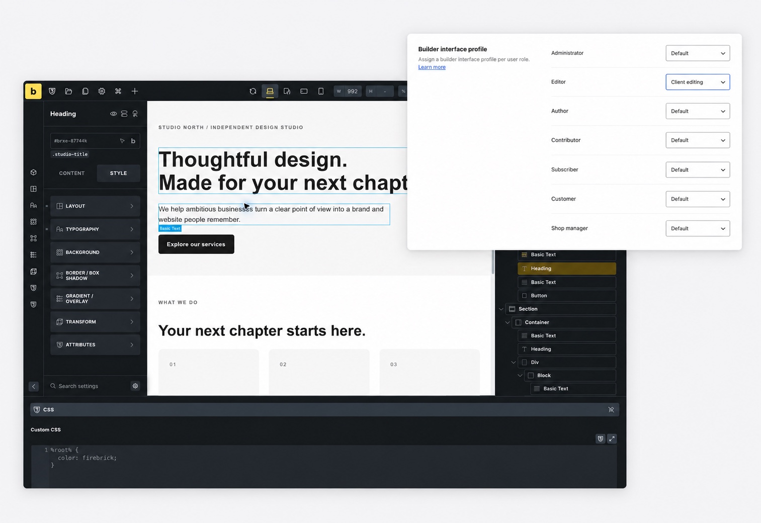 Customized Bricks Builder workspace with Custom CSS pinned at the bottom, alongside interface profile assignments for WordPress roles.